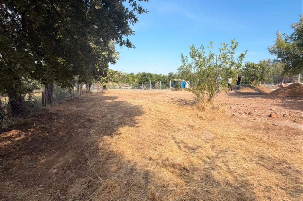 Menderes Dereköy'de Elektrikli ve Yolu Açılmış Satılık Tarla