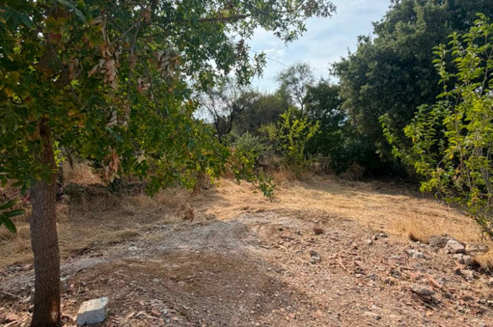 Menderes Dereköy'de Elektrikli ve Yolu Açılmış Satılık Tarla