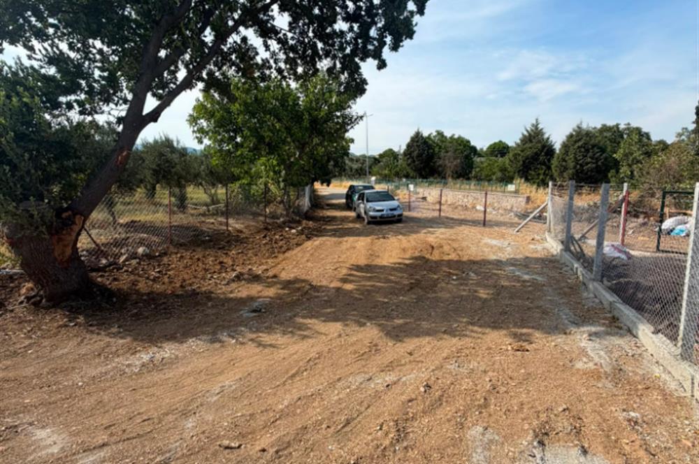 Menderes Dereköy'de Elektrikli ve Yolu Açılmış Satılık Tarla
