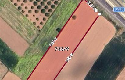 C21 Loft'tan Tavas Yaka Mahallesinde Anayol Cepheli Satılık Tarla 