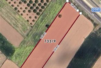 C21 Loft'tan Tavas Yaka Mahallesinde Anayol Cepheli Satılık Tarla  - 1 - 36137