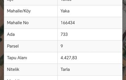 C21 Loft'tan Tavas Yaka Mahallesinde Anayol Cepheli Satılık Tarla 