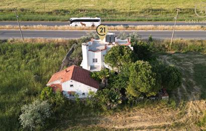 C21 Bal'dan Balıkesir Ayvalık Altınova’da Satılık Arsa