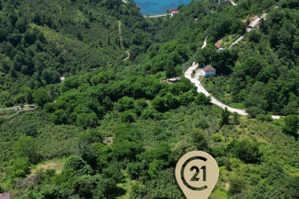 CENTURY 21'DEN DOĞA VE DENİZ MANZARALI SATILIK ARSA