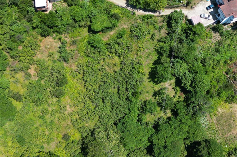 CENTURY 21'DEN DOĞA VE DENİZ MANZARALI SATILIK ARSA