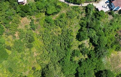 CENTURY 21'DEN DOĞA VE DENİZ MANZARALI SATILIK ARSA