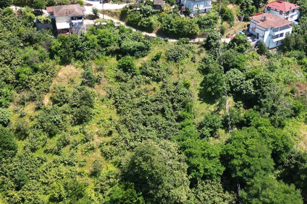 CENTURY 21'DEN DOĞA VE DENİZ MANZARALI SATILIK ARSA