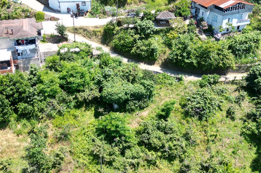 CENTURY 21'DEN DOĞA VE DENİZ MANZARALI SATILIK ARSA