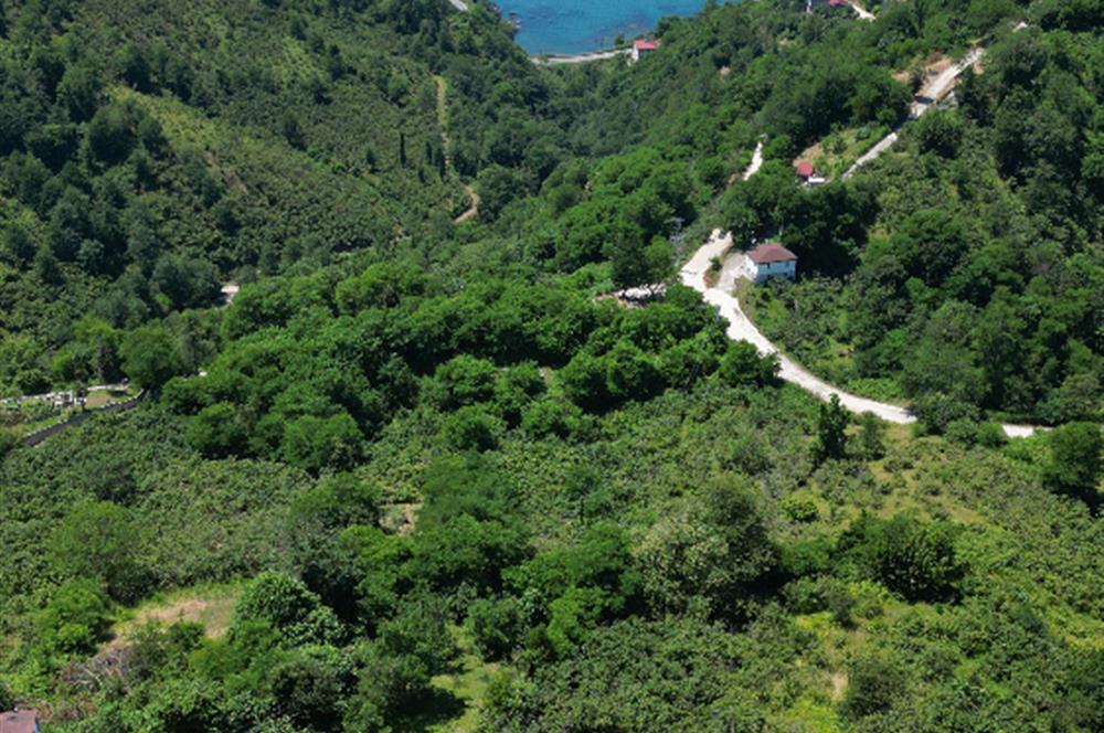 CENTURY 21'DEN DOĞA VE DENİZ MANZARALI SATILIK ARSA