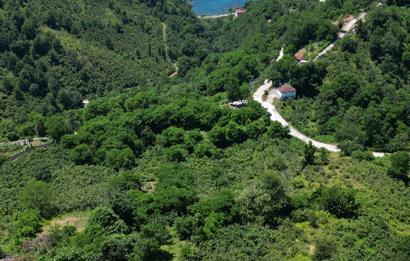 CENTURY 21'DEN DOĞA VE DENİZ MANZARALI SATILIK ARSA