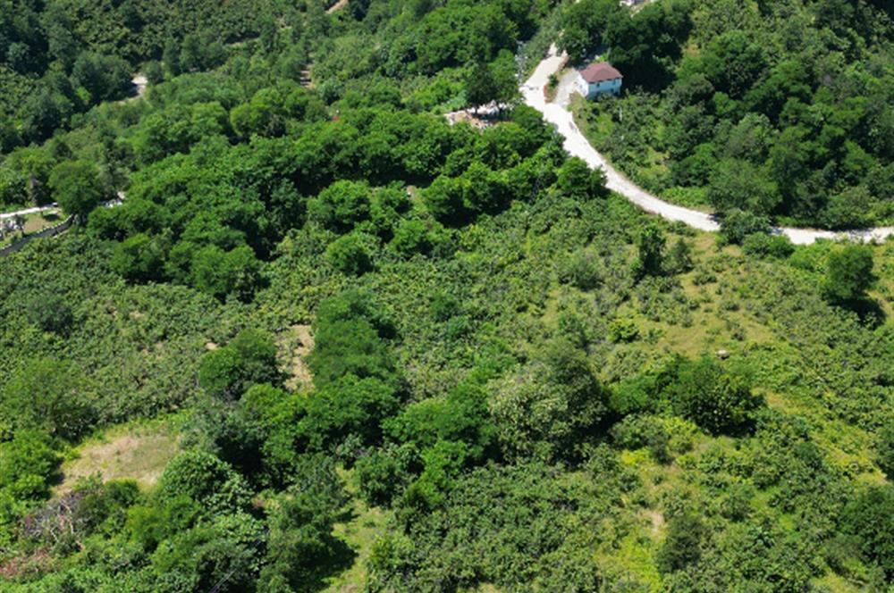 CENTURY 21'DEN DOĞA VE DENİZ MANZARALI SATILIK ARSA