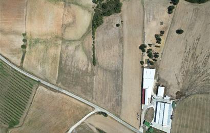 C21 DOĞAN'DAN HAMİTABAT KÖYÜ'NDE SATILIK 15550 m2 tarla