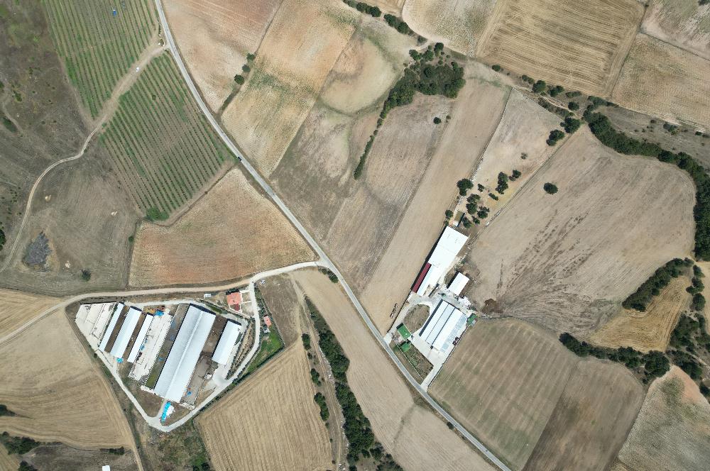 C21 DOĞAN'DAN HAMİTABAT KÖYÜ'NDE SATILIK 15550 m2 tarla