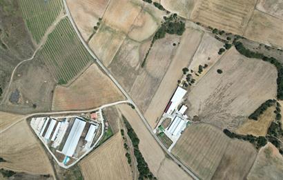 C21 DOĞAN'DAN HAMİTABAT KÖYÜ'NDE SATILIK 15550 m2 tarla