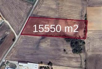C21 DOĞAN'DAN HAMİTABAT KÖYÜ'NDE SATILIK 15550 m2 tarla - 1 - 36130