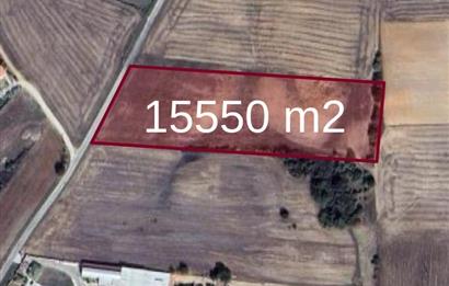 C21 DOĞAN'DAN HAMİTABAT KÖYÜ'NDE SATILIK 15550 m2 tarla