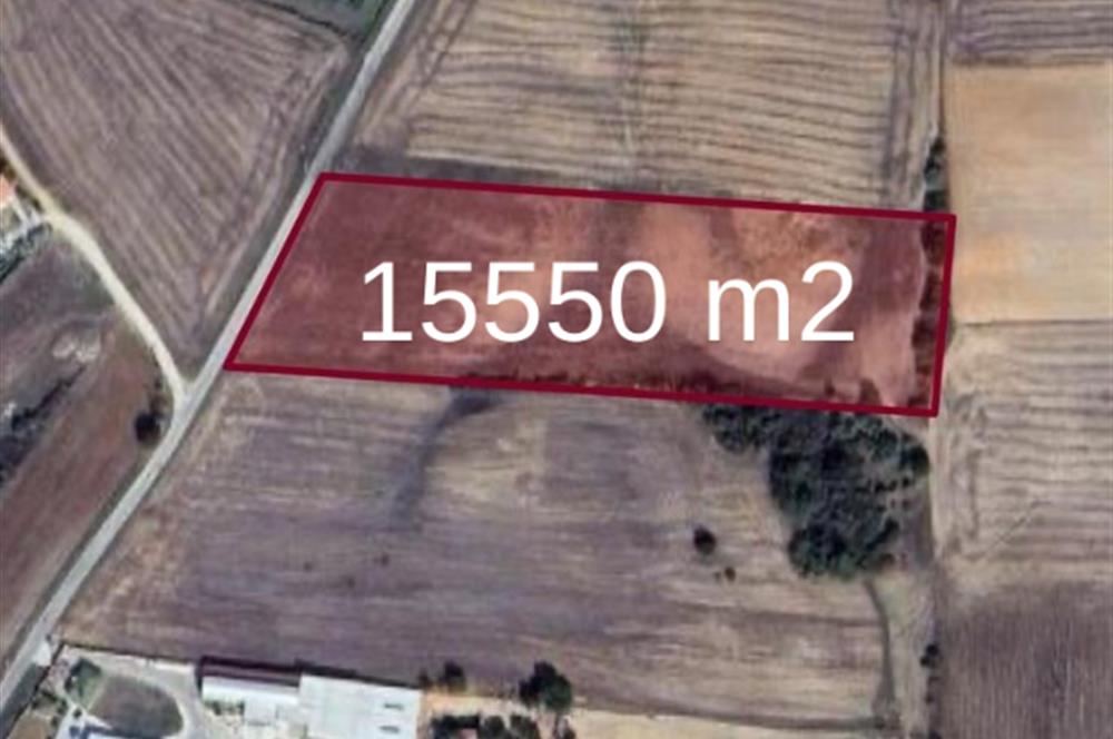 C21 DOĞAN'DAN HAMİTABAT KÖYÜ'NDE SATILIK 15550 m2 tarla