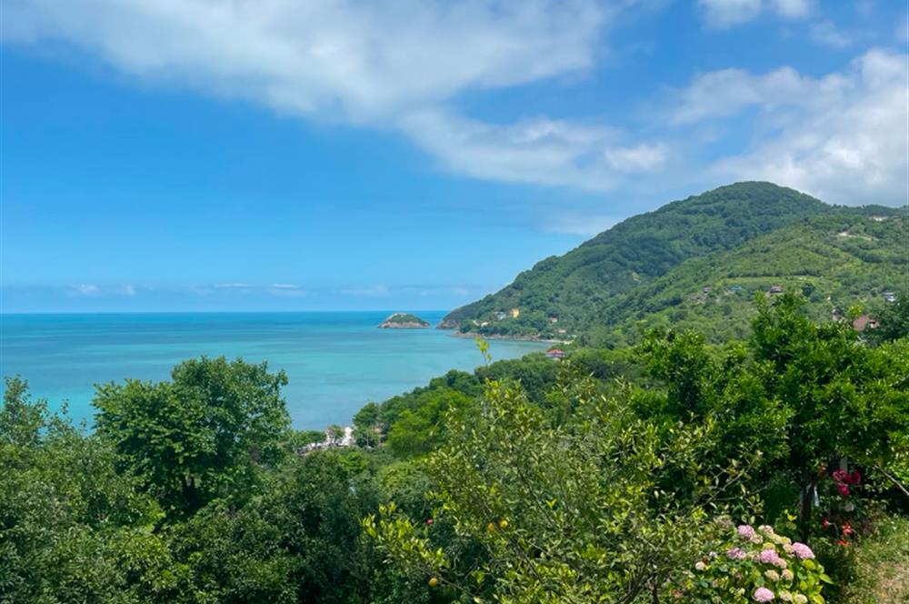 ordu perşembe çaka mevki kiralık