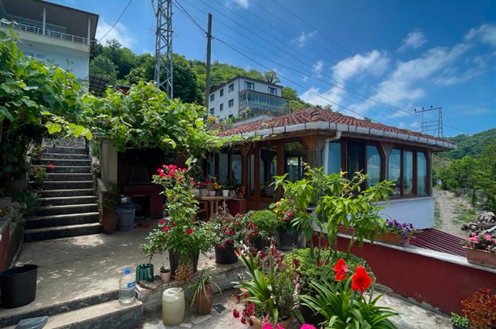 ordu perşembe çaka mevki kiralık