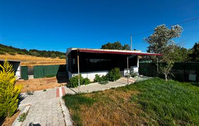 CENTURY 21 BAL'DAN KARESİ / KAMÇILIDA 3 ADET HOBİ BAHÇESİ