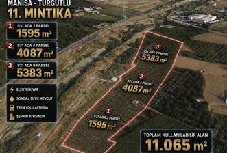 11. Mıntıka Mahallesinde Satılık Zeytinlik - 3 - 36187