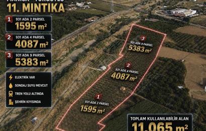 11. Mıntıka Mahallesinde Satılık Zeytinlik