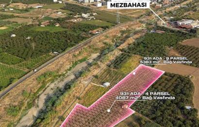 11. Mıntıka Mahallesinde Satılık Zeytinlik