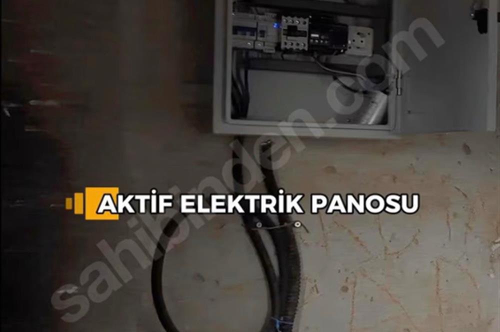 11. Mıntıka Mahallesinde Satılık Zeytinlik