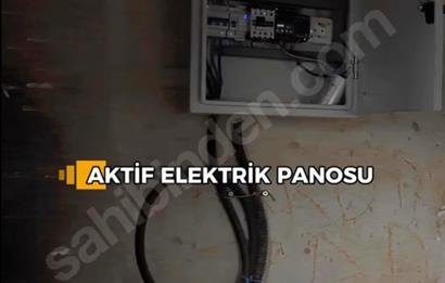 11. Mıntıka Mahallesinde Satılık Zeytinlik