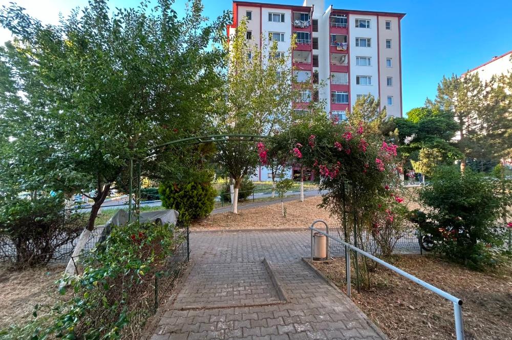 C21 BAL'DAN TOKİ 1.ETAP 4 KATLILARDA GENİŞ 3+1 KİRALIK DAİRE