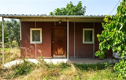C21 Cius; Togg Kurşunlu Yoluna Cephe 3 Tapu Toplam 17.861 m2