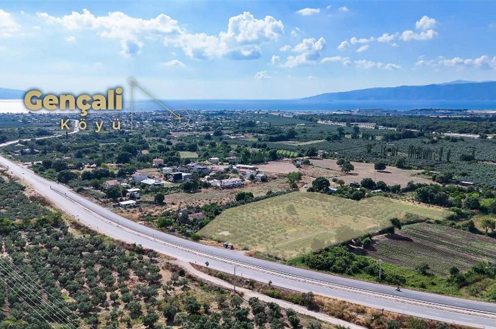 C21 Cius; Togg Kurşunlu Yoluna Cephe 3 Tapu Toplam 17.861 m2