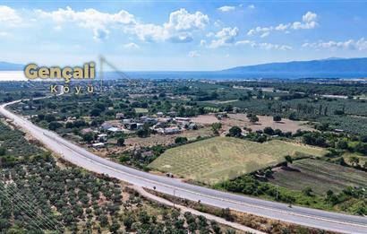 C21 Cius; Togg Kurşunlu Yoluna Cephe 3 Tapu Toplam 17.861 m2
