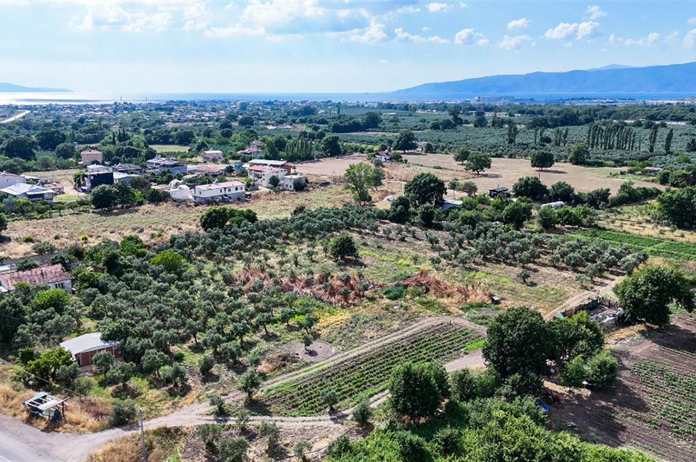 C21 Cius; Togg Kurşunlu Yoluna Cephe 3 Tapu Toplam 17.861 m2