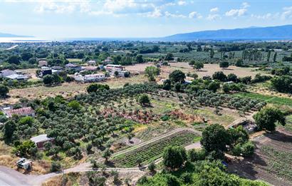 C21 Cius; Togg Kurşunlu Yoluna Cephe 3 Tapu Toplam 17.861 m2