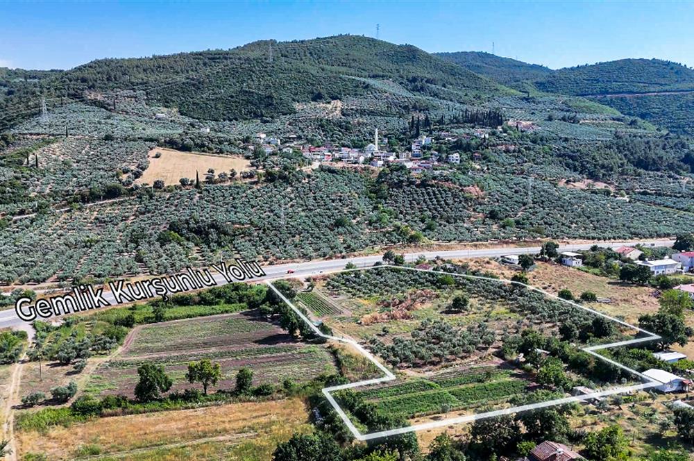 C21 Cius; Togg Kurşunlu Yoluna Cephe 3 Tapu Toplam 17.861 m2