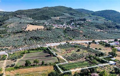 C21 Cius; Togg Kurşunlu Yoluna Cephe 3 Tapu Toplam 17.861 m2