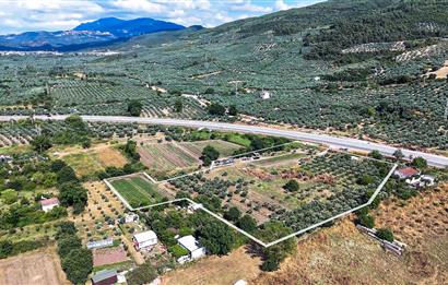 C21 Cius; Togg Kurşunlu Yoluna Cephe 3 Tapu Toplam 17.861 m2