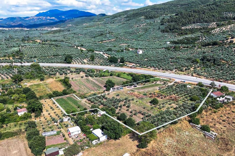 C21 Cius; Togg Kurşunlu Yoluna Cephe 3 Tapu Toplam 17.861 m2