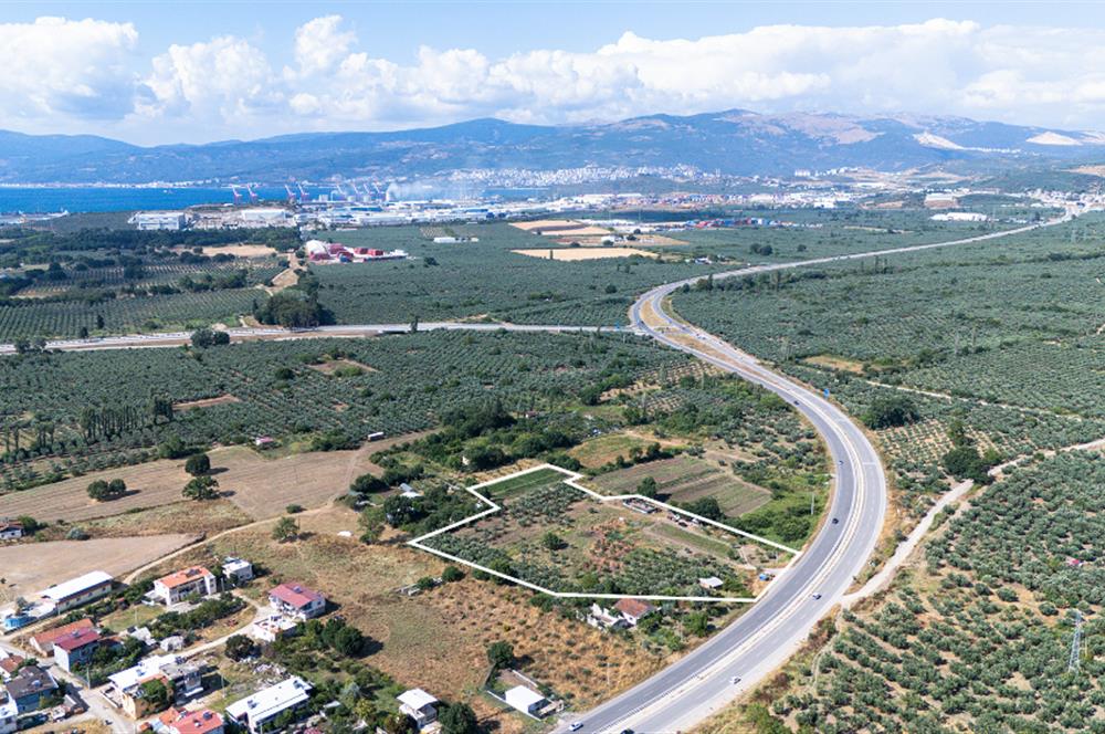 C21 Cius; Togg Kurşunlu Yoluna Cephe 3 Tapu Toplam 17.861 m2
