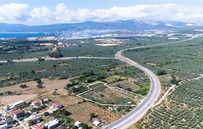 C21 Cius; Togg Kurşunlu Yoluna Cephe 3 Tapu Toplam 17.861 m2