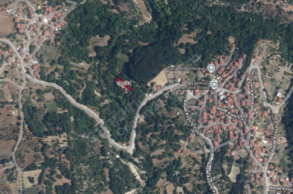 BAŞAK MAHALLESİ'NDE DOĞAYLA İÇ İÇE YATIRIMLIK SATILIK ARAZİ