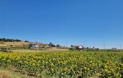C21 BAL'DAN KARESİ KIRMIZILAR MAH.DE SATILIK KÖŞE PARSEL ARSA