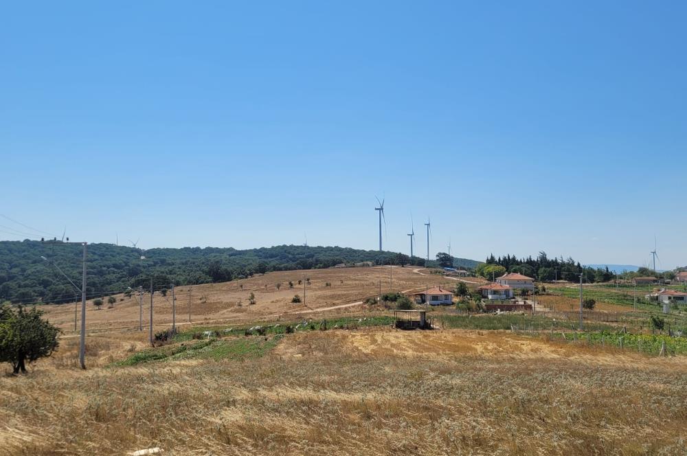 C21 BAL'DAN KARESİ KIRMIZILAR MAH.DE SATILIK KÖŞE PARSEL ARSA