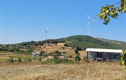 C21 BAL'DAN KARESİ KIRMIZILAR MAH.DE SATILIK KÖŞE PARSEL ARSA