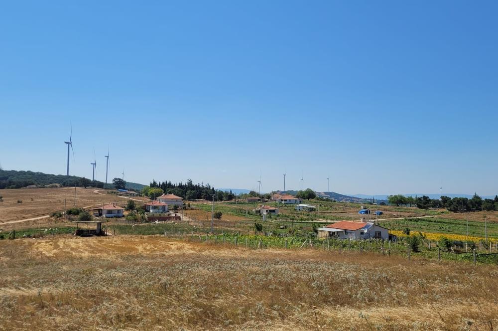 C21 BAL'DAN KARESİ KIRMIZILAR MAH.DE SATILIK KÖŞE PARSEL ARSA