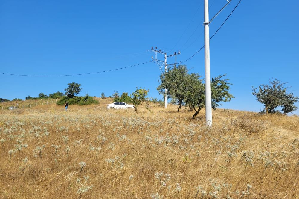 C21 BAL'DAN KARESİ KIRMIZILAR MAH.DE SATILIK KÖŞE PARSEL ARSA