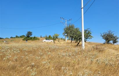 C21 BAL'DAN KARESİ KIRMIZILAR MAH.DE SATILIK KÖŞE PARSEL ARSA