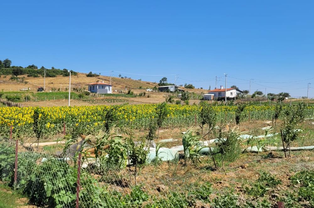 C21 BAL'DAN KARESİ KIRMIZILAR MAH.DE SATILIK KÖŞE PARSEL ARSA