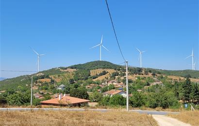 C21 BAL'DAN KARESİ KIRMIZILAR MAH.DE SATILIK KÖŞE PARSEL ARSA